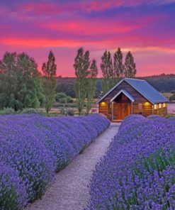 Lavender Log Cabin Scenery Paint By Numbers
