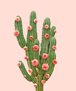 Cactus and Pink Floral Paint By Numbers