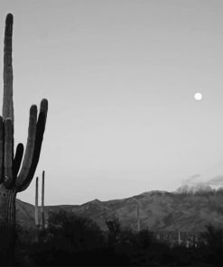 Black and White Cactus Landscape Paint By Numbers