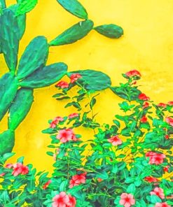 Cactus Eastern Prickly Pear Paint By Numbers