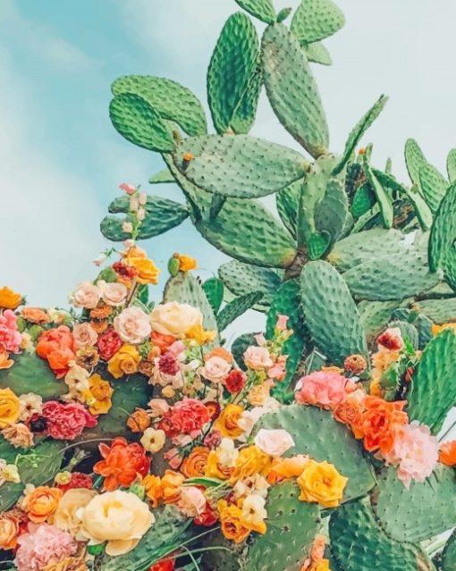 Cactus-With-Flowers