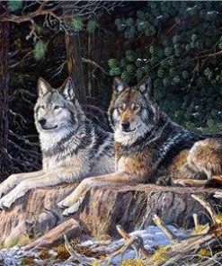 Wolves in Snowy Forest Paint By Numbers