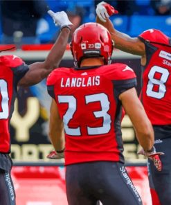 Calgary Stampeders Football Team Paint By Numbers