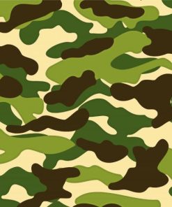 Camo Military Art Paint By Numbers