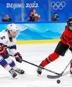 Canada Ice Hockey League Paint By Numbers