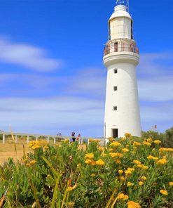 Cape Otway Lighthouse Scenic View Paint By Numbers
