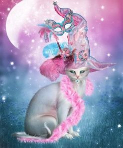 Cat in Witch Hat Paint By Numbers