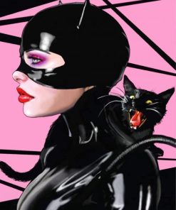 Catwoman Superhero Paint By Numbers