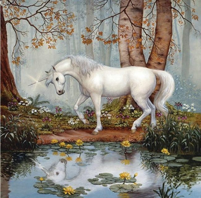 Unicorn Forest Horses Paint By Numbers