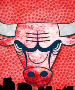 Chicago Bulls Iconic Logo Paint By Numbers