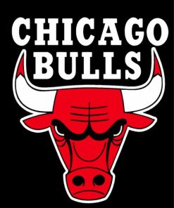 Chicago Bulls Sports Paint By Numbers