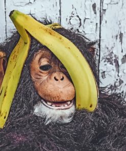 Chimpanzee Banana Fun Paint By Numbers