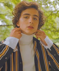 Handsome Timothee Chalamet Paint By Numbers