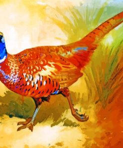 Colorful Pheasant Birds Paint By Numbers