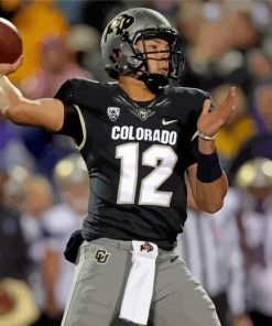 Colorado Buffaloes Football Team Paint By Numbers