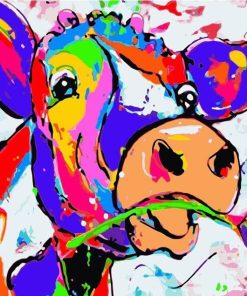 Colorful Cows Paint By Numbers