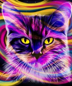 Colorful Cats Paint By Numbers