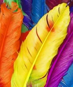 Peacock Feather Artwork Paint By Numbers