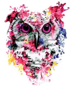 Colorful Owls Birds Paint By Numbers