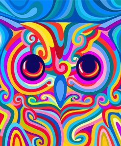 Rainbow Owl Paint By Numbers
