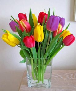 Colorful Tulip Bouquet Paint By Numbers