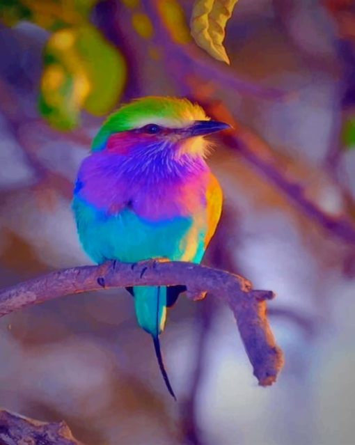 Colorful-bird-paint-by-numbers
