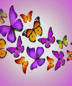 Colorful Butterfly Art Paint By Numbers