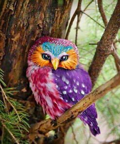 Rainbow Owl Bird Paint By Numbers
