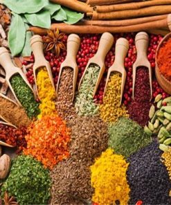 Colorful Spice Kitchen Paint By Numbers