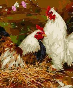 Colorful Chicken Birds Paint By Numbers