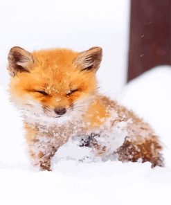 Cute Fox in Snow Paint By Numbers