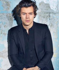 Harry Styles Inspired Paint By Numbers