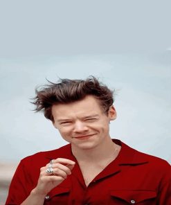 Cute Harry Styles Dimpled Smile Paint By Numbers