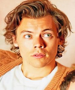 Harry Styles One Direction Paint By Numbers