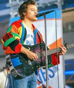 Cute Harry Styles Concert Paint By Numbers