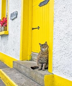 Yellow Door Kitty Paint By Numbers