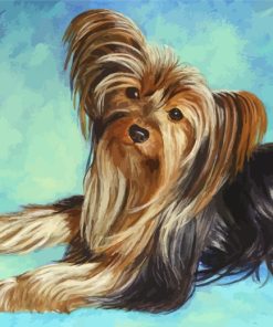 Cute Yorkshire Terrier Paint By Numbers