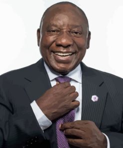 Cyril Ramaphosa Smiling Leader Paint By Numbers