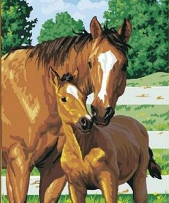 Abstract Horse and Foal Paint By Numbers