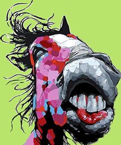Abstract Horse Paint By Numbers