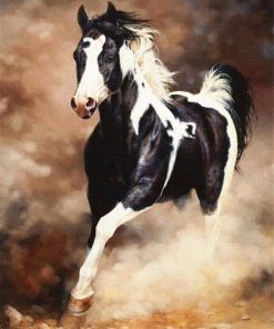 Majestic Horse Stallions Paint By Numbers