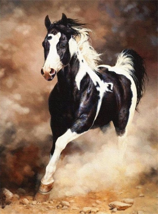 Majestic Horse Stallions Paint By Numbers