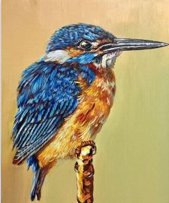 Kingfisher Birds Paint By Numbers