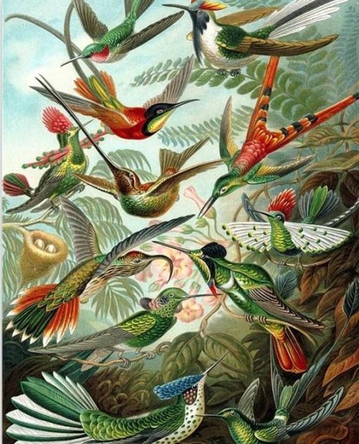 DIY-colorings-pictures-by-numbers-with-colors-A-flock-of-birds-flying-picture-drawing-painting-by