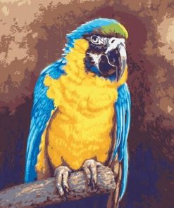 Blue and Gold Macaw Picture Paint By Numbers