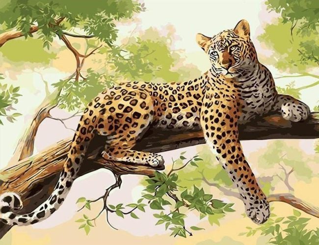 Leopard Wildlife Art Paint By Numbers