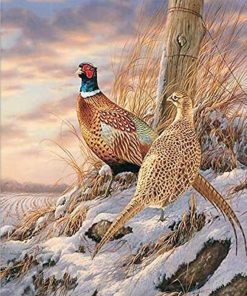 Quail in Snow Modern Paint By Numbers