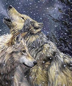 Modern Wolf Animals Paint By Numbers