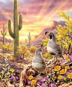 Birds in Desert Beauty Paint By Numbers