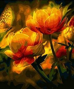 Orange Blossom Butterfly Paint By Numbers